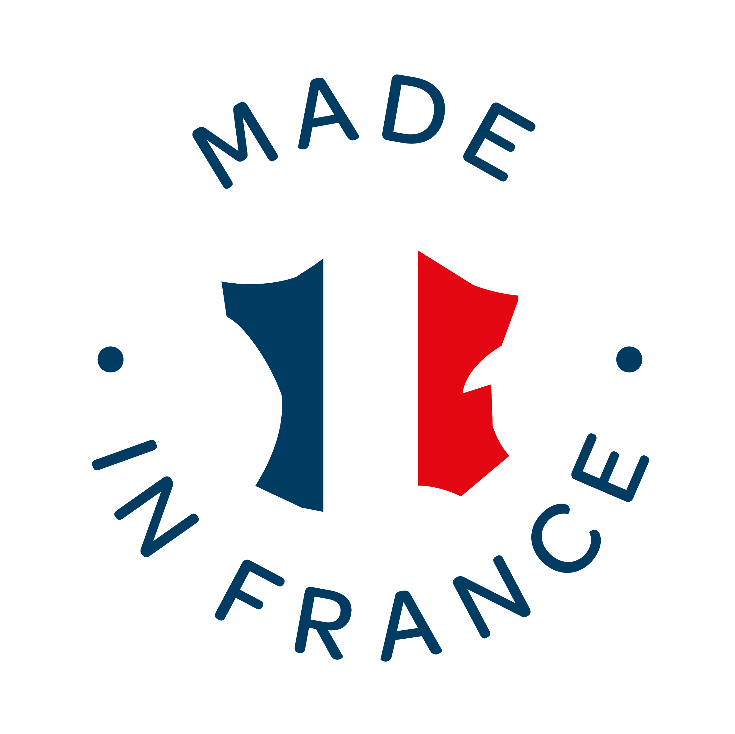 PICTOS FR-EN_Plan de travail 1 copie 10